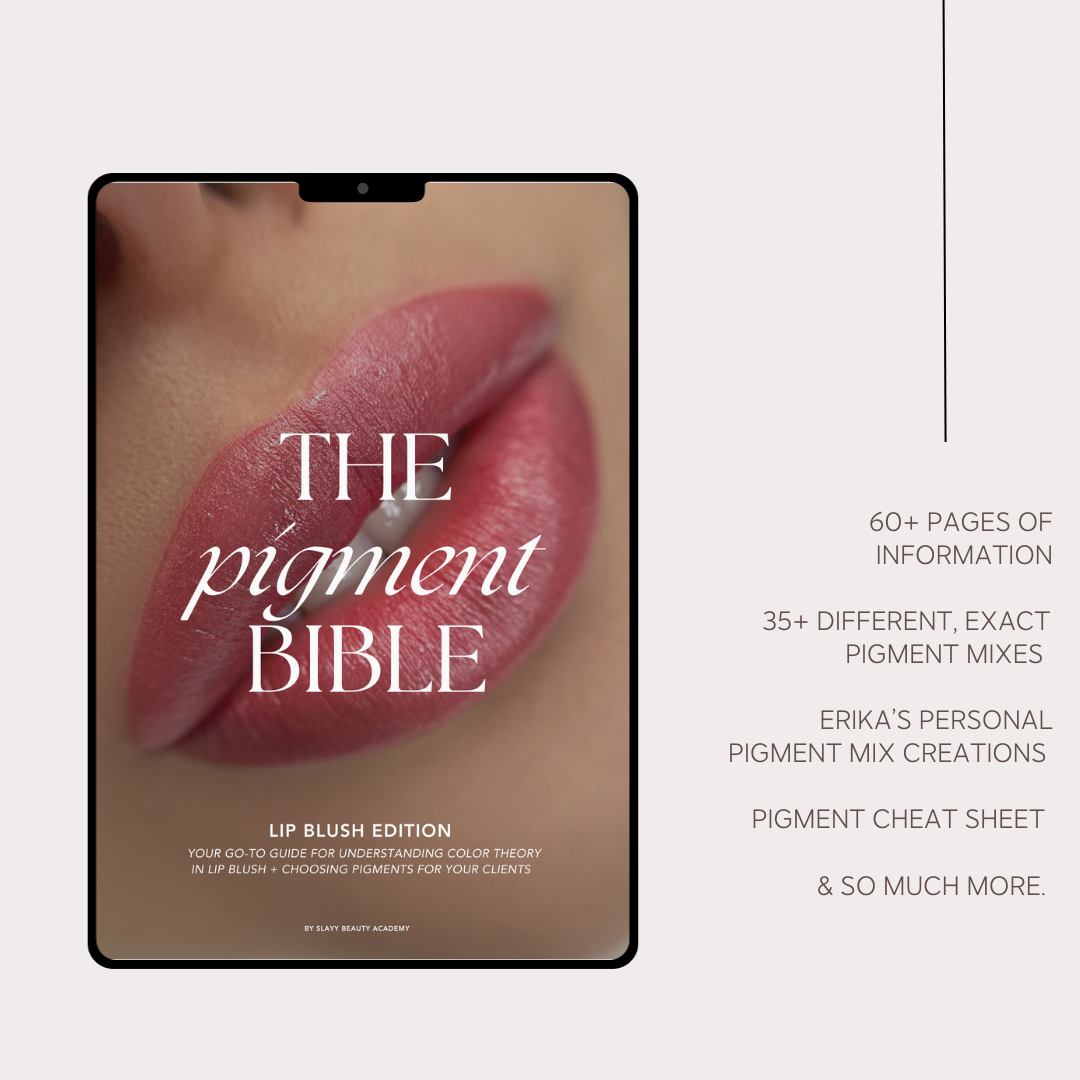 The Pigment Bible Ultimate Bundle: Brows + Lips